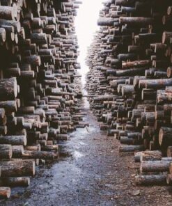 Stacked, Canada N°STRO2